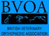 BVOA